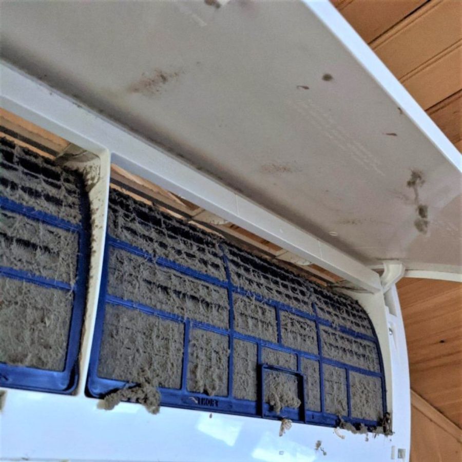 Cleaning heat pump filters during an annual service in Palmerston North